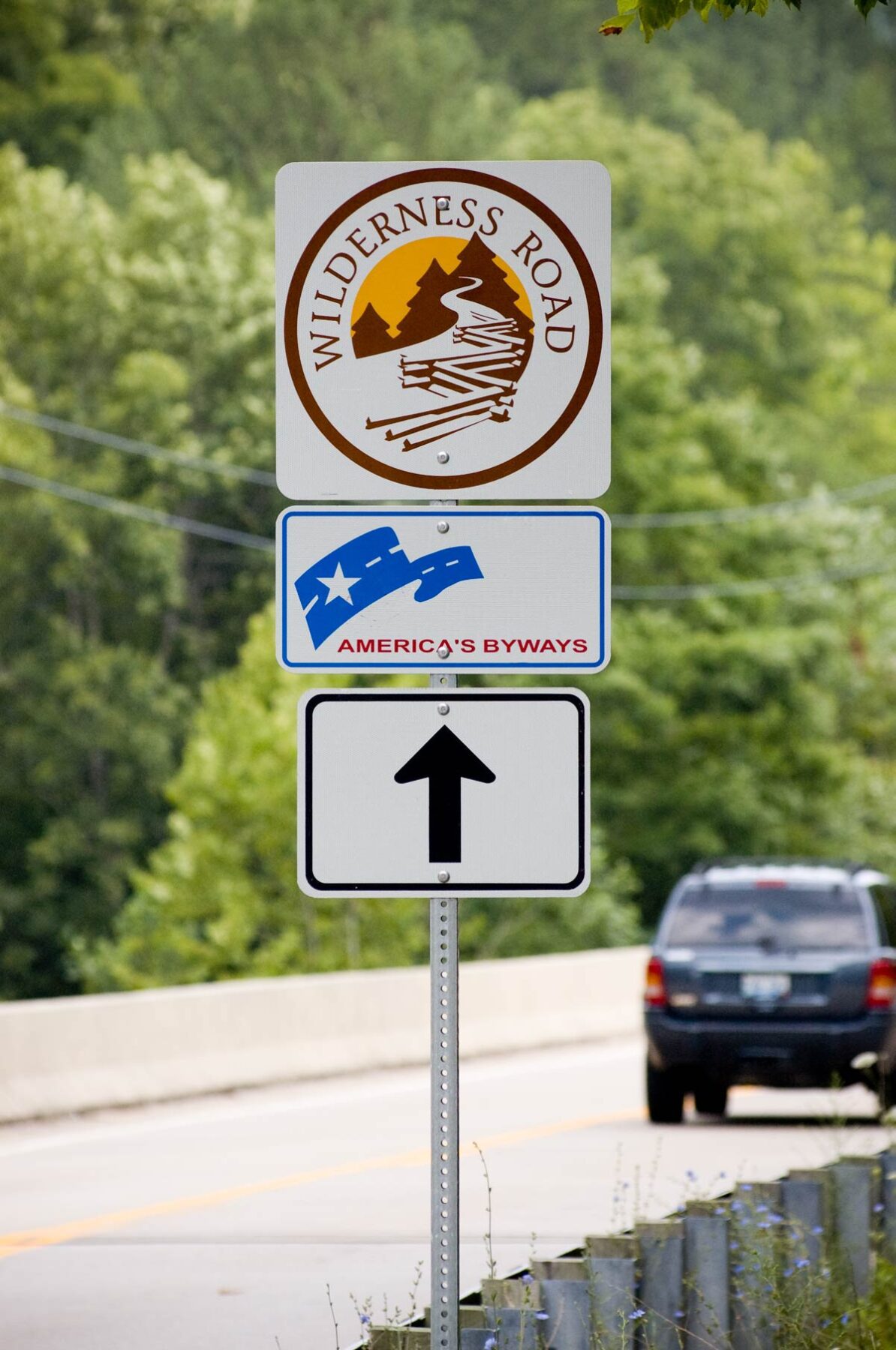 Highway sign with Wilderness Road America's Byways symbol.