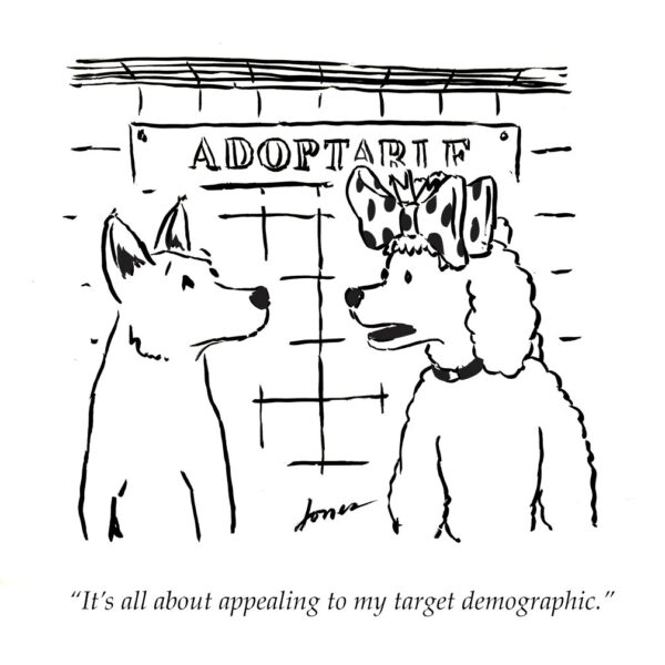 Cartoon: Two dogs in a shelter with a sign "ADOPTABLE." One dog has a fancy, large bow on it's head. Caption reads "It's all about appealing to my target demographic."