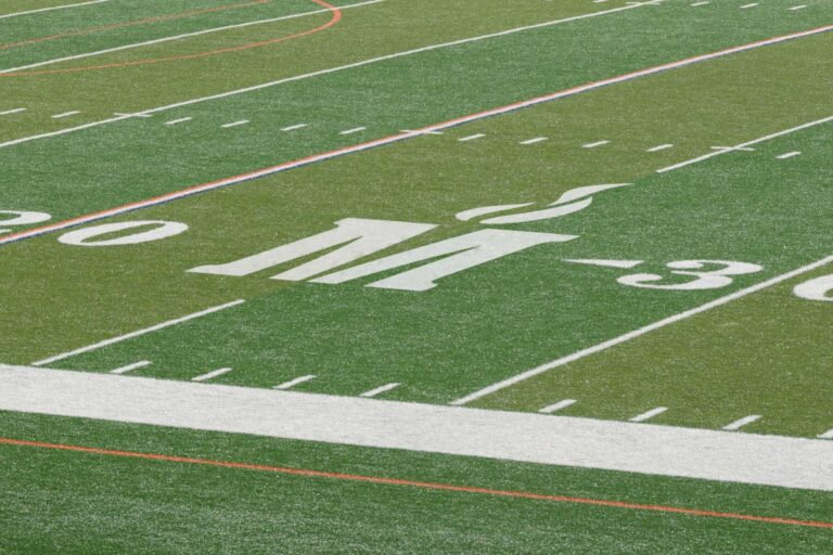 Madison County Schools symbol on football field