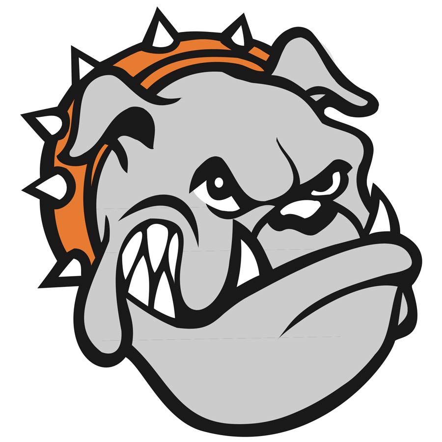 Old bulldog illustration