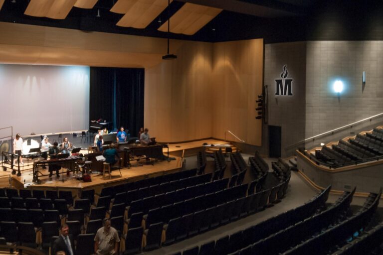 Auditorium with Madison County Schools symbol on the wall